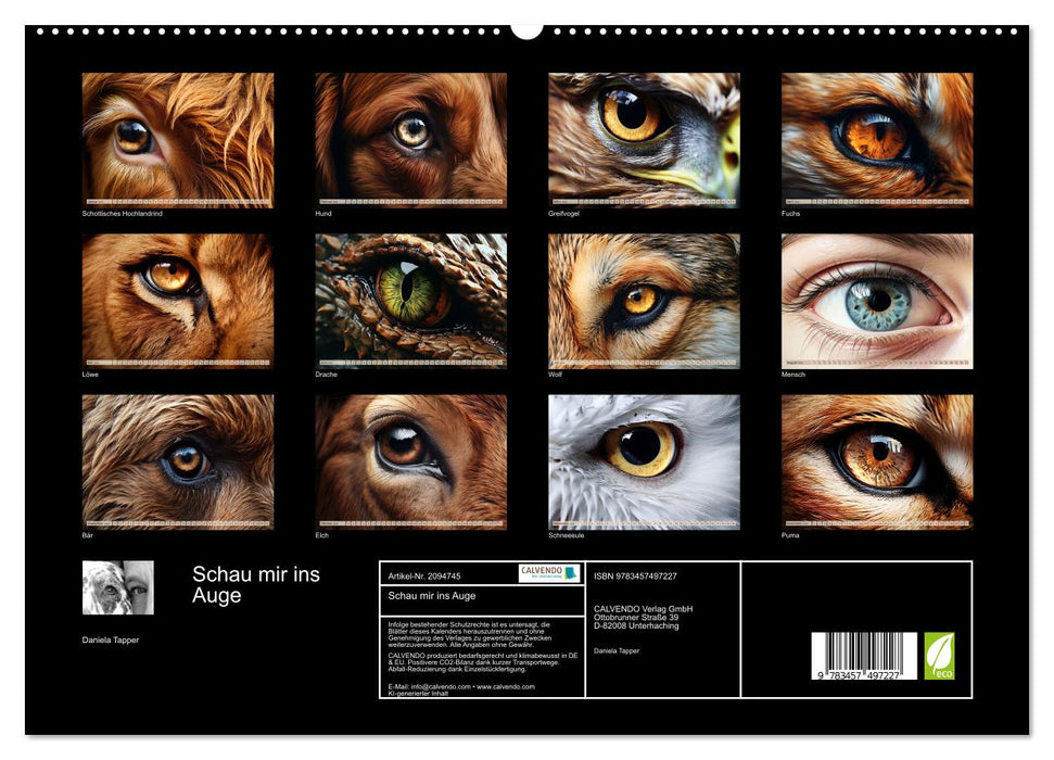 Schau mir ins Auge (CALVENDO Premium Wandkalender 2026)