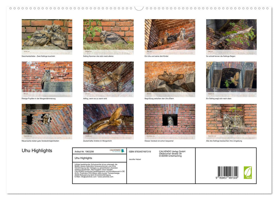 Uhu Highlights (CALVENDO Premium Wandkalender 2026)