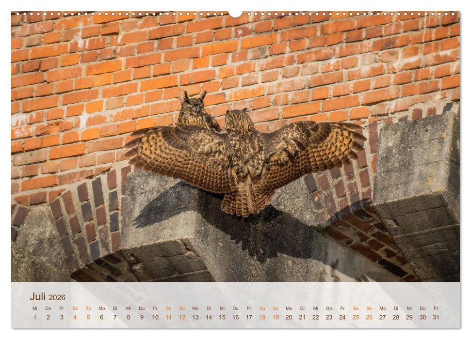 Uhu Highlights (CALVENDO Premium Wandkalender 2026)