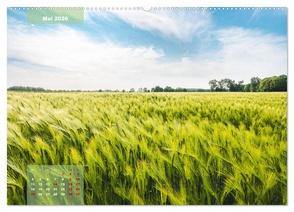 Ein Jahr Niederrhein Momente der Natur (CALVENDO Premium Wandkalender 2026)