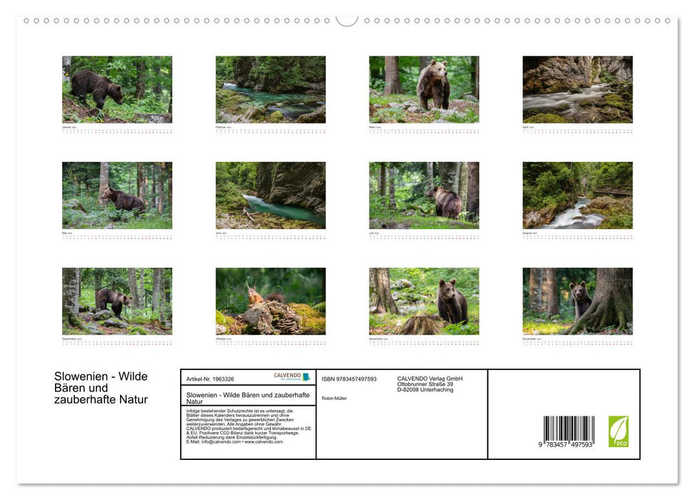 Slowenien - Wilde Bären und zauberhafte Natur (CALVENDO Premium Wandkalender 2026)