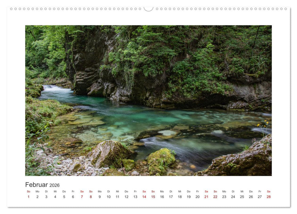 Slowenien - Wilde Bären und zauberhafte Natur (CALVENDO Premium Wandkalender 2026)