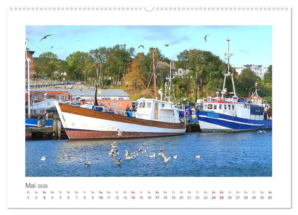 Rügenliebe - Eine Hommage an die Ostseeinsel Rügen (CALVENDO Wandkalender 2026)