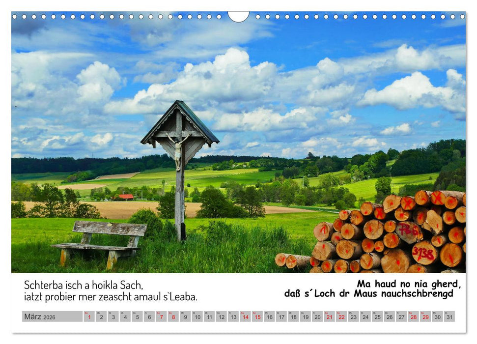 Schwäbische Sprichwörter 1 Wi ma hald so said! (CALVENDO Wandkalender 2026)