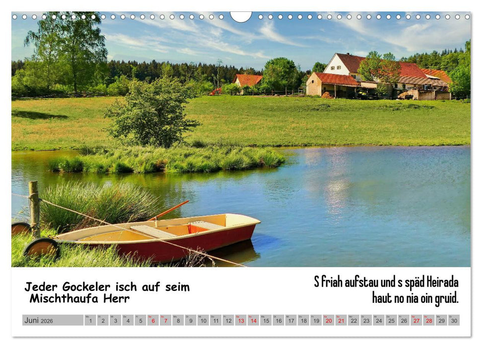 Schwäbische Sprichwörter 1 Wi ma hald so said! (CALVENDO Wandkalender 2026)