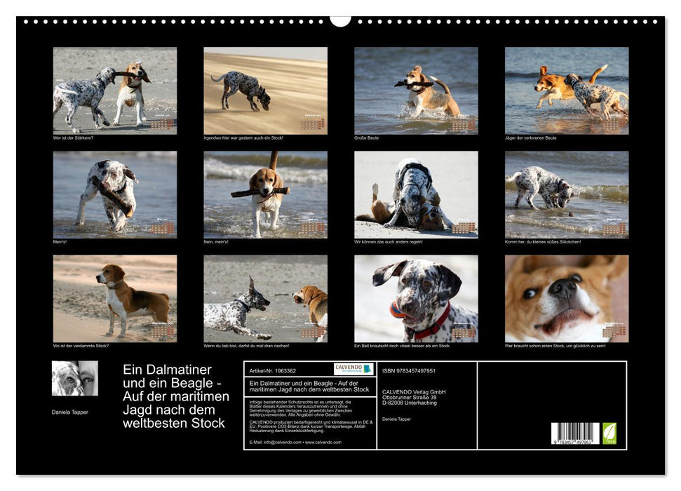 Ein Dalmatiner und ein Beagle - Auf der maritimen Jagd nach dem weltbesten Stock (CALVENDO Wandkalender 2026)