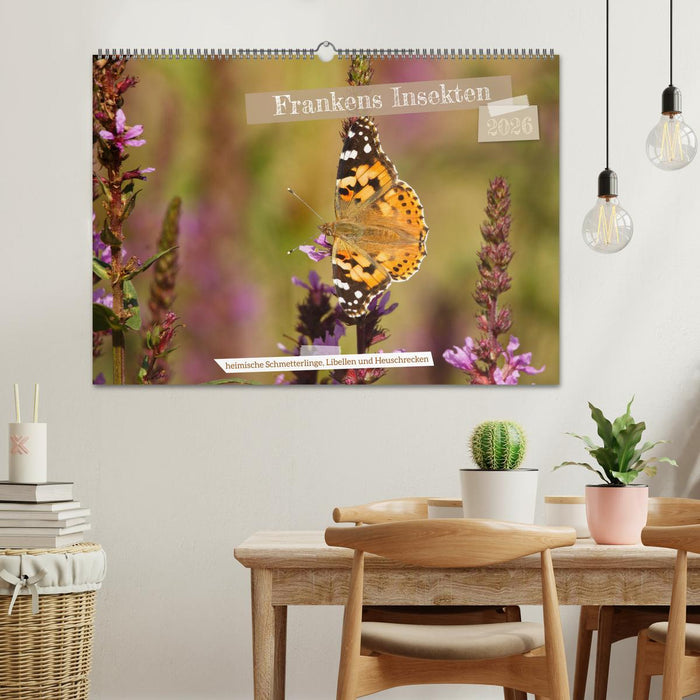 Frankens Insekten (CALVENDO Wandkalender 2026)