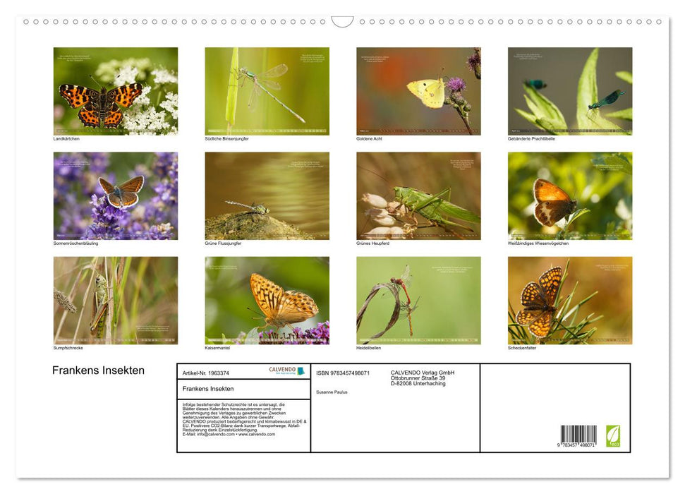 Frankens Insekten (CALVENDO Wandkalender 2026)