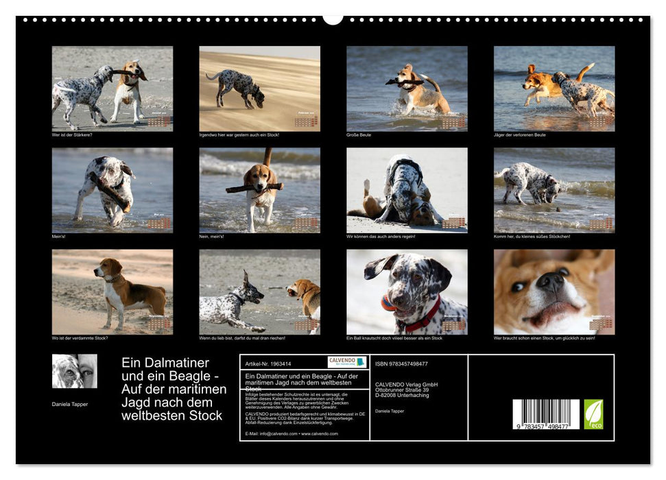 Ein Dalmatiner und ein Beagle - Auf der maritimen Jagd nach dem weltbesten Stock (CALVENDO Premium Wandkalender 2026)
