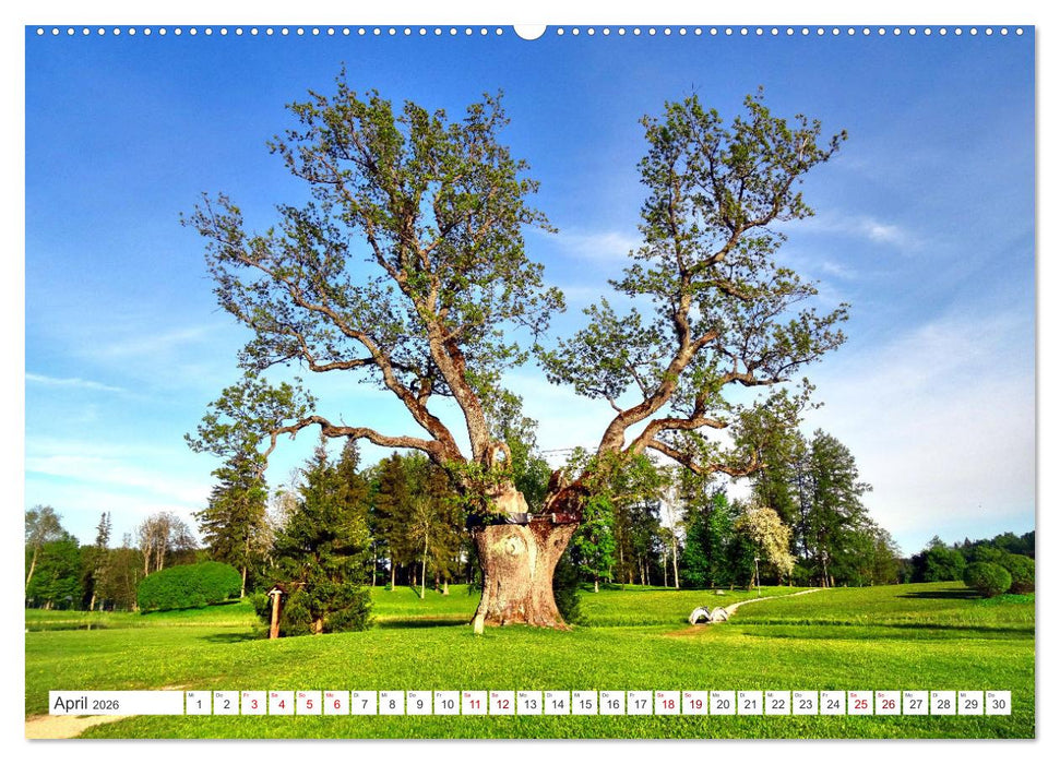 Grünes Estland - Naturparadies am Baltischen Meer (CALVENDO Premium Wandkalender 2026)