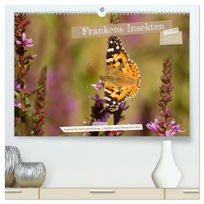 Frankens Insekten (CALVENDO Premium Wandkalender 2026)