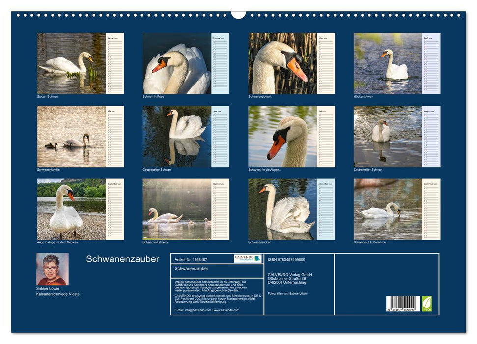 Schwanenzauber (CALVENDO Wandkalender 2026)