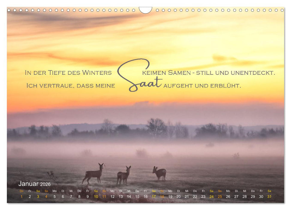 Vertraue! (CALVENDO Wandkalender 2026)