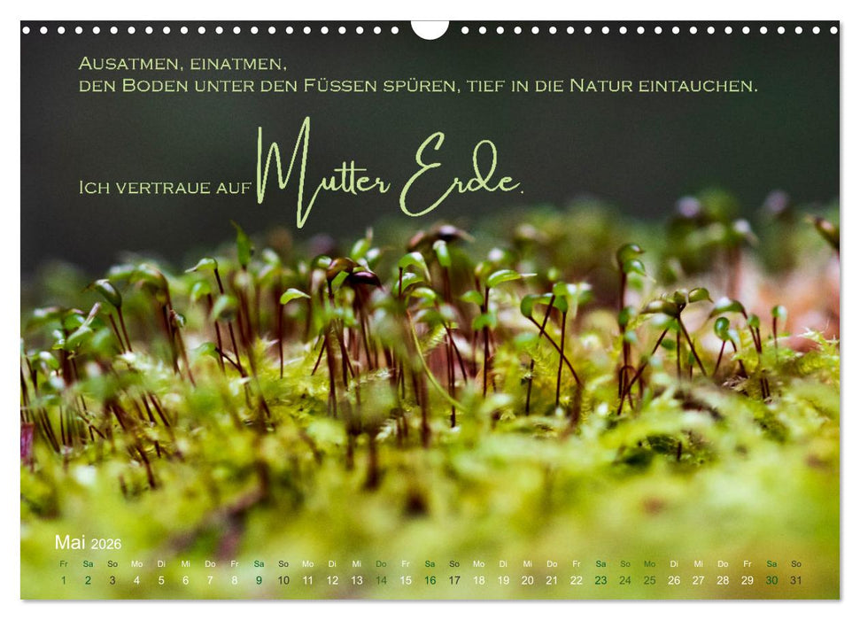 Vertraue! (CALVENDO Wandkalender 2026)