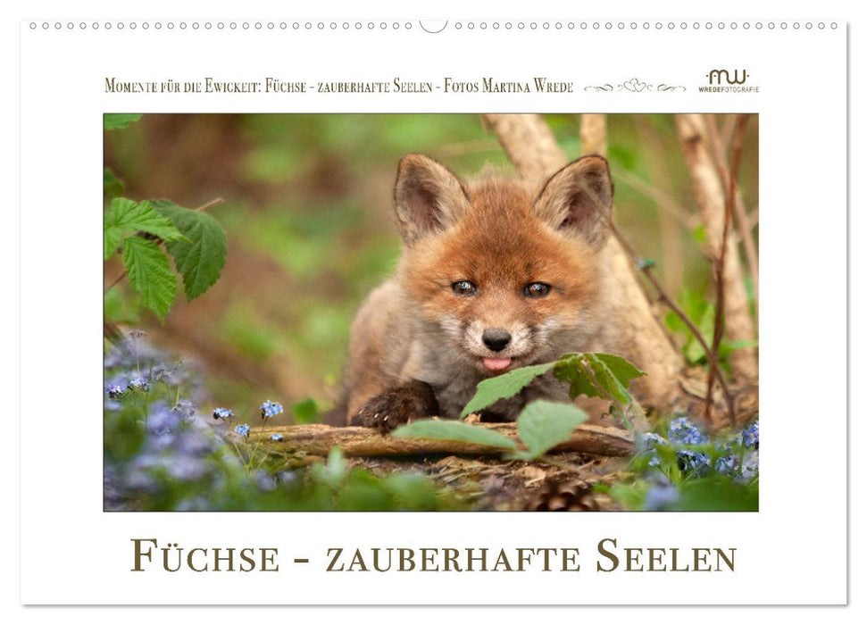 Füchse - zauberhafte Seelen (CALVENDO Wandkalender 2026)