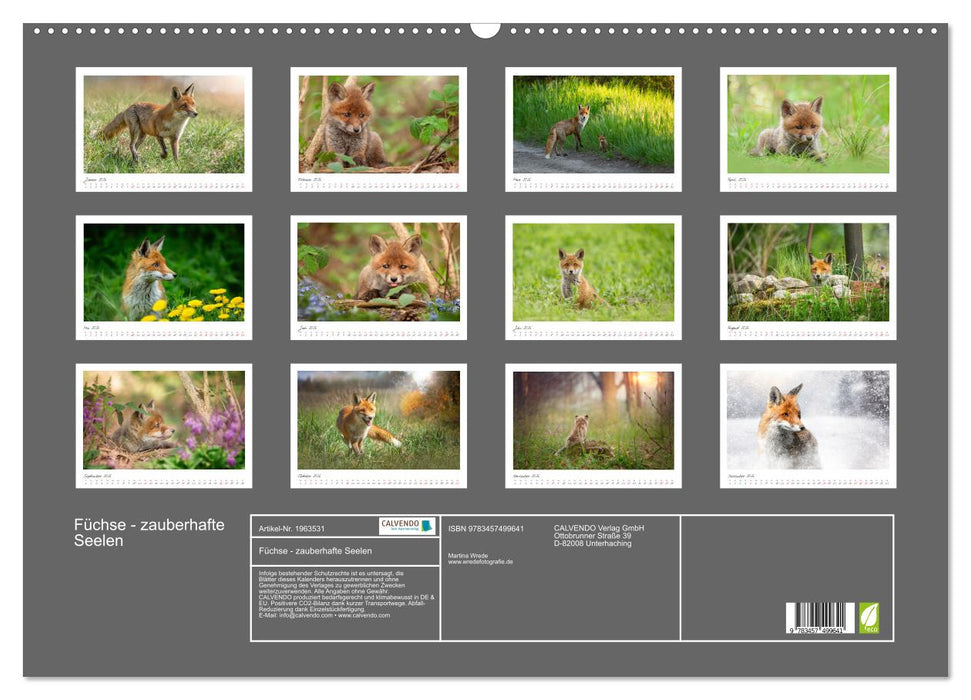 Füchse - zauberhafte Seelen (CALVENDO Wandkalender 2026)