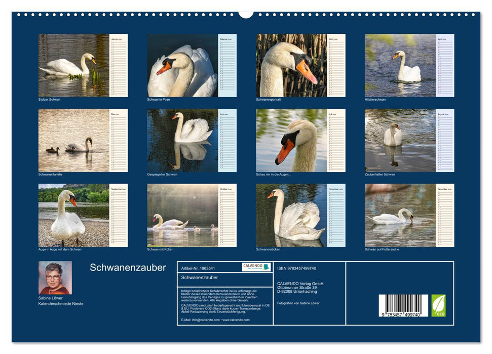 Schwanenzauber (CALVENDO Premium Wandkalender 2026)