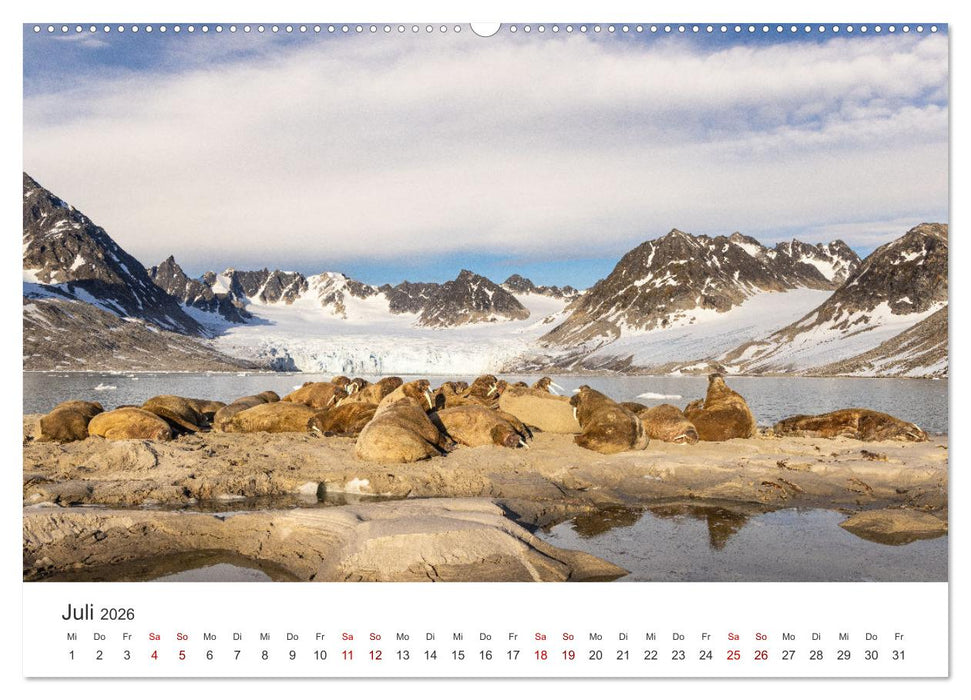 Naturparadies Svalbard (CALVENDO Premium Wandkalender 2026)