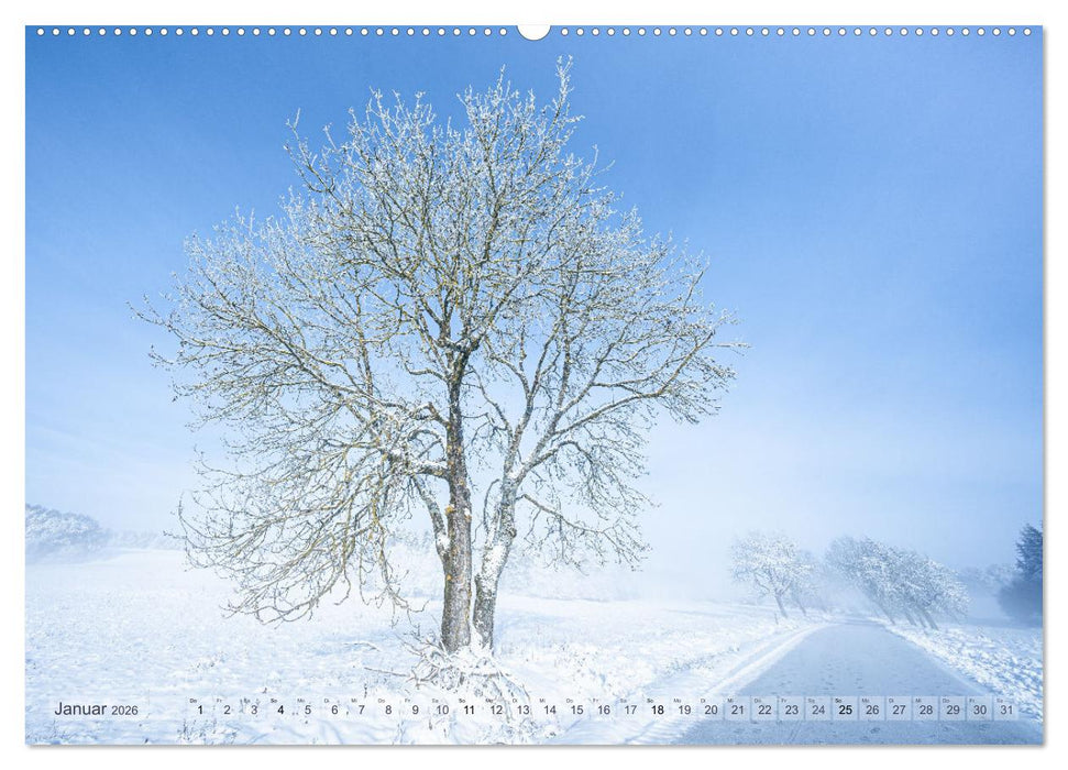 Wanderparadies Schwäbische Alb (CALVENDO Wandkalender 2026)