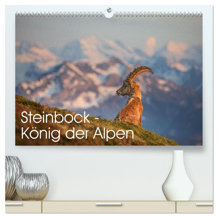Steinbock - König der Alpen (CALVENDO Premium Wandkalender 2026)