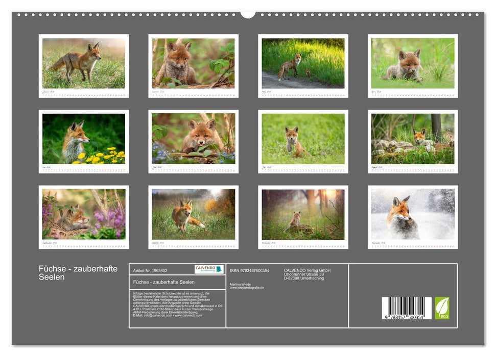 Füchse - zauberhafte Seelen (CALVENDO Premium Wandkalender 2026)