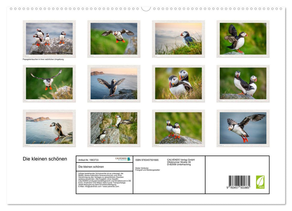 Die kleinen schönen (CALVENDO Premium Wandkalender 2026)