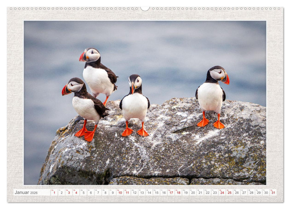 Die kleinen schönen (CALVENDO Premium Wandkalender 2026)