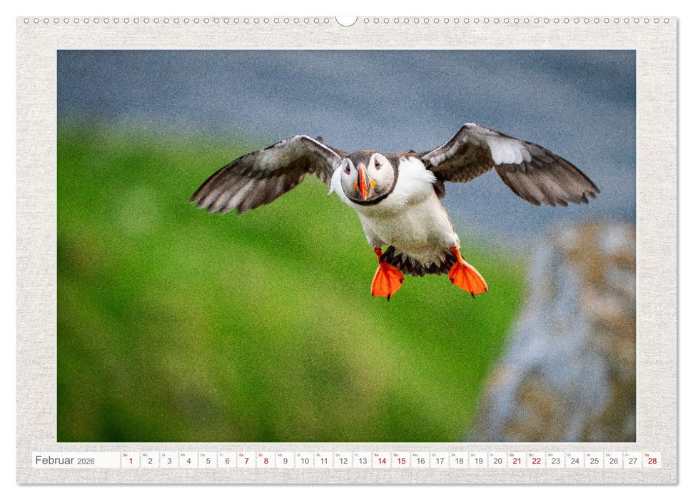 Die kleinen schönen (CALVENDO Premium Wandkalender 2026)