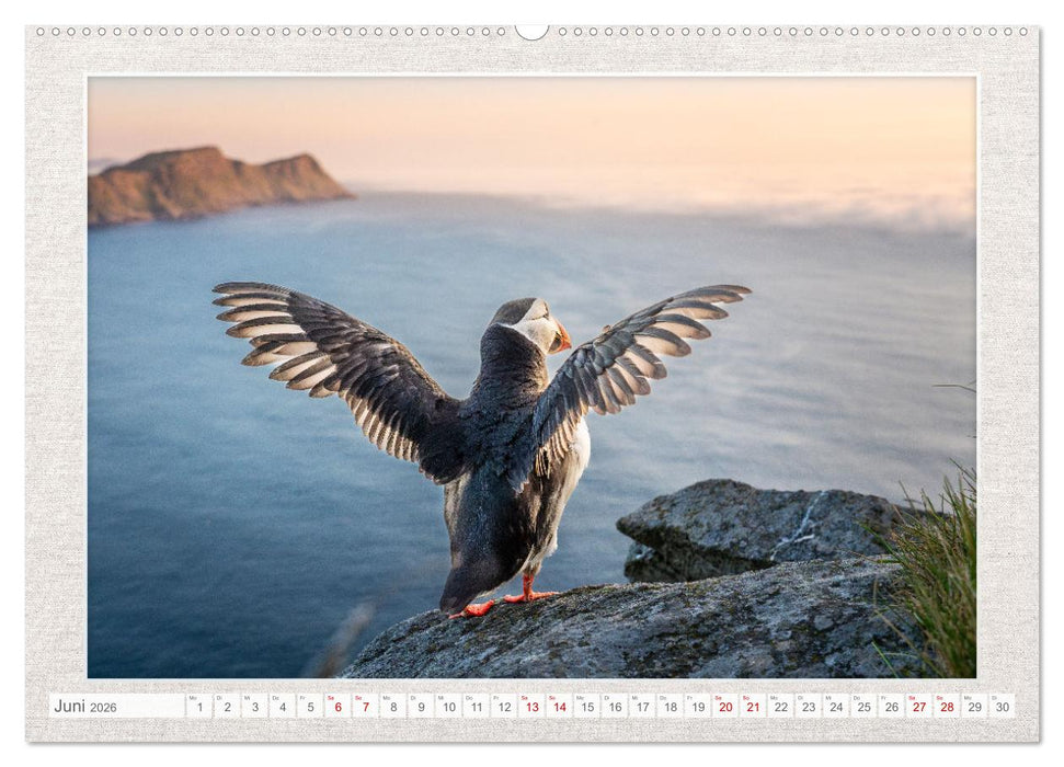 Die kleinen schönen (CALVENDO Premium Wandkalender 2026)