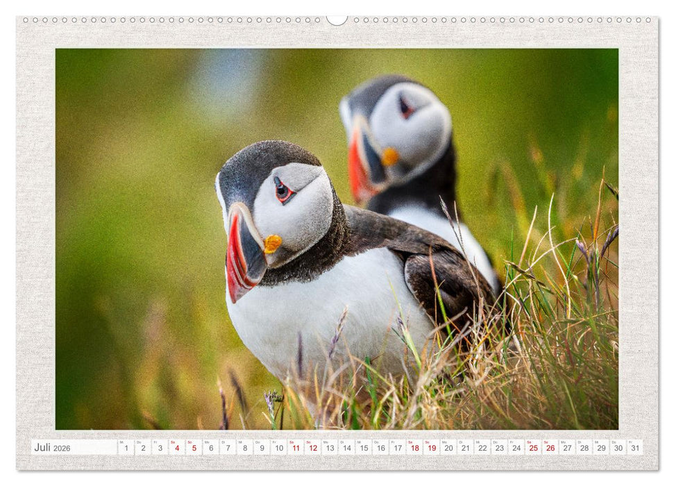 Die kleinen schönen (CALVENDO Premium Wandkalender 2026)