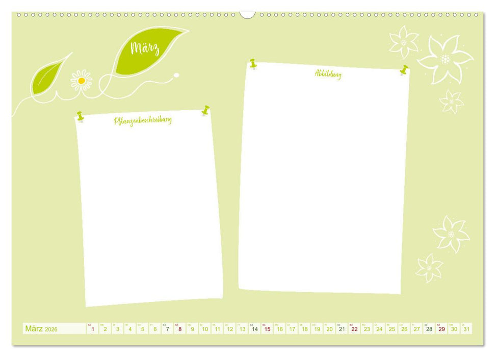 12 x Pflanzenkunde - Bastelkalender (CALVENDO Wandkalender 2026)