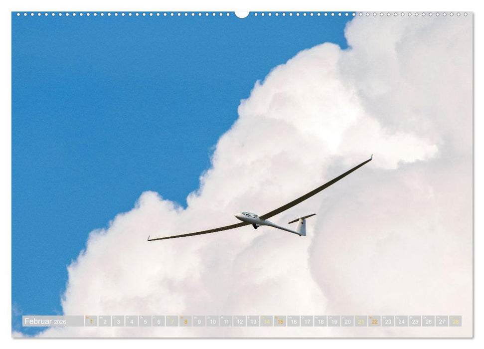 Meister in der Schwebe: Segelflugzeuge (CALVENDO Premium Wandkalender 2026)