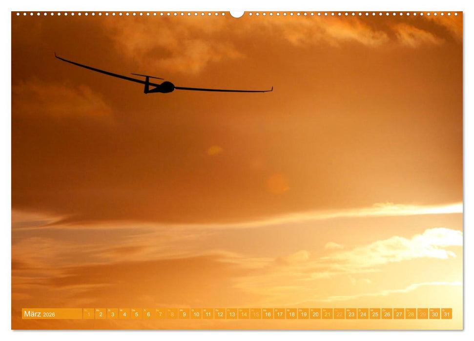 Meister in der Schwebe: Segelflugzeuge (CALVENDO Premium Wandkalender 2026)