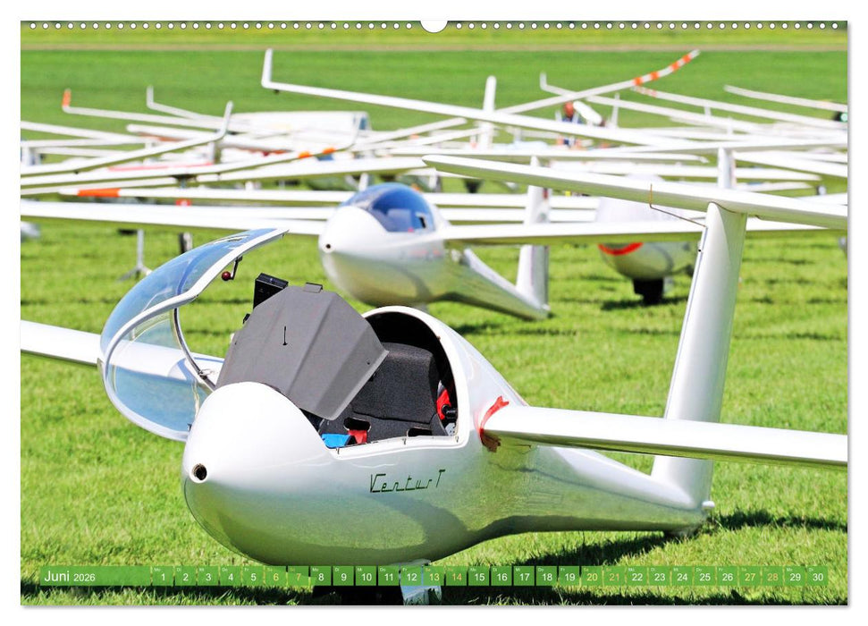 Meister in der Schwebe: Segelflugzeuge (CALVENDO Premium Wandkalender 2026)