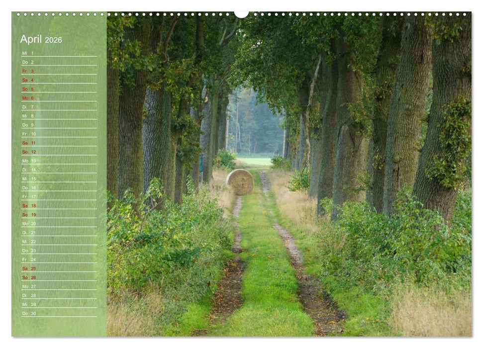 Wendlandreise (CALVENDO Premium Wandkalender 2026)