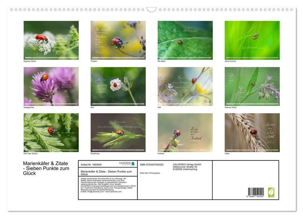 Marienkäfer & Zitate - Sieben Punkte zum Glück (CALVENDO Wandkalender 2026)
