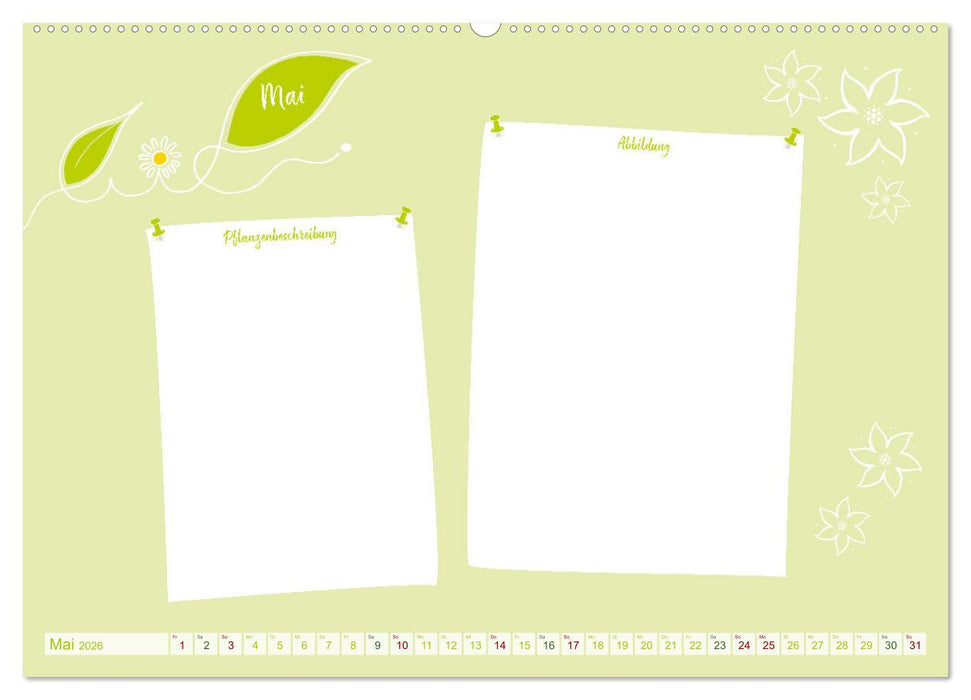 12 x Pflanzenkunde - Bastelkalender (CALVENDO Premium Wandkalender 2026)