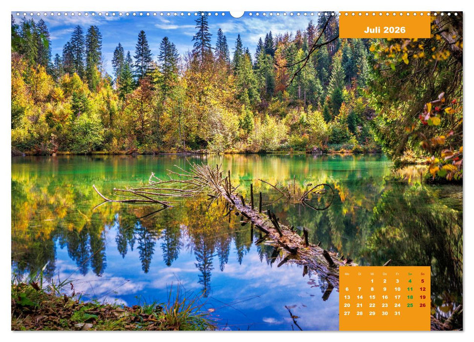 WANDERN über Stock und Stein in der Schweiz (CALVENDO Premium Wandkalender 2026)