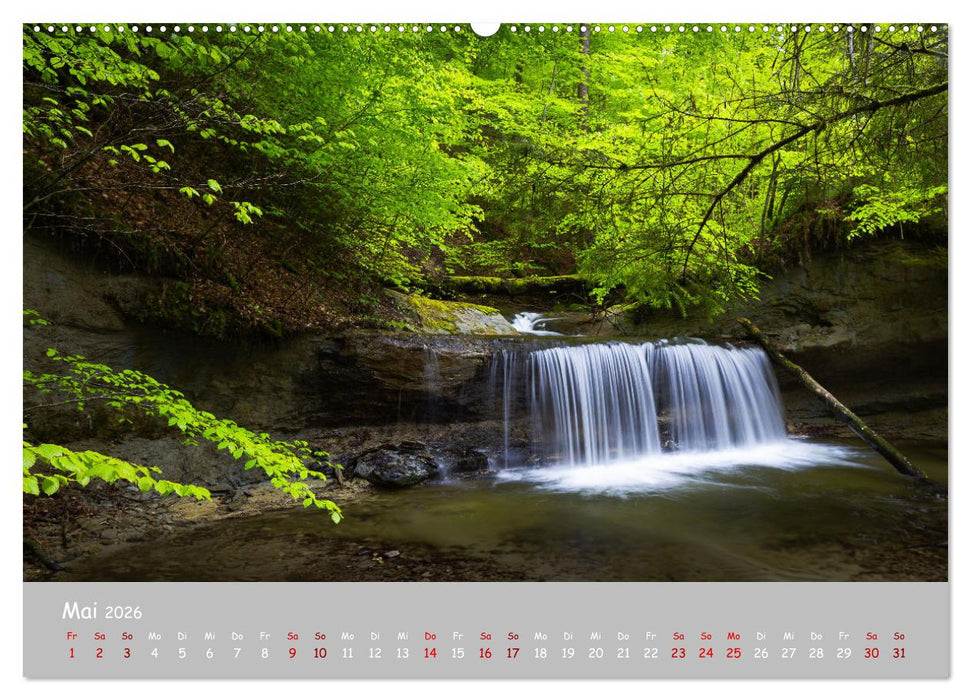 Waldbäche - Im Wandel der Jahreszeiten (CALVENDO Premium Wandkalender 2026)