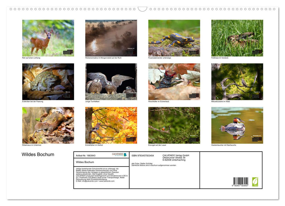 Wildes Bochum (CALVENDO Wandkalender 2026)