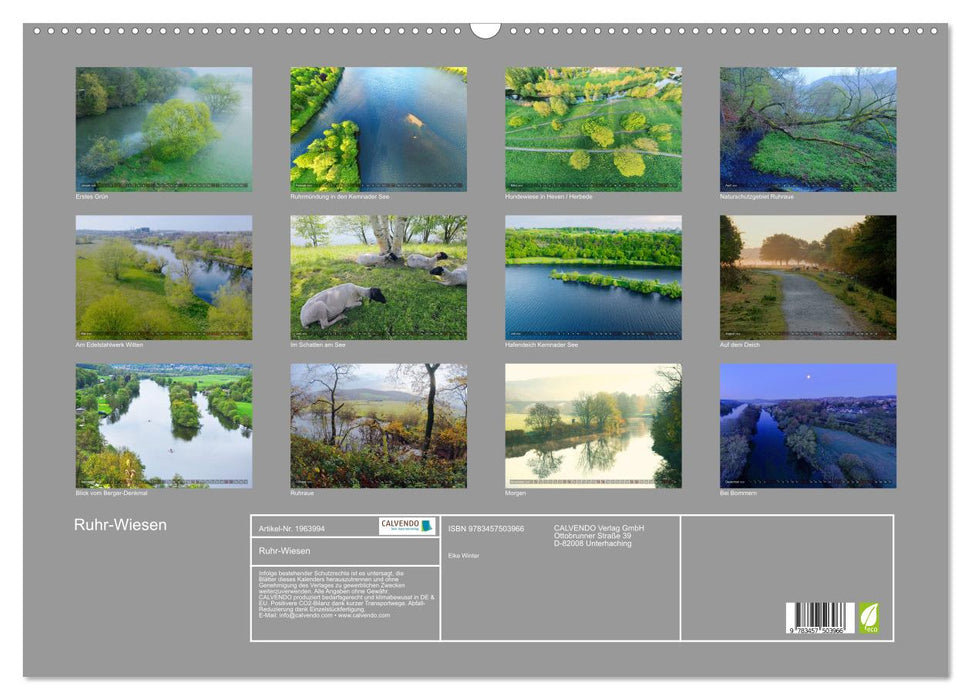 Ruhr-Wiesen (CALVENDO Wandkalender 2026)