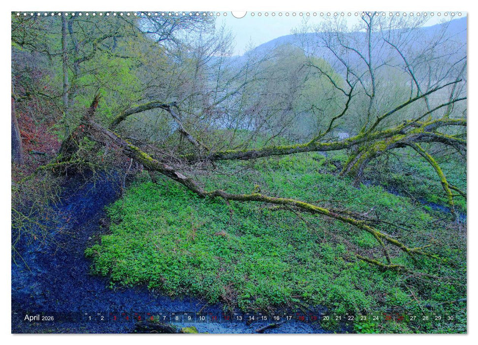 Ruhr-Wiesen (CALVENDO Wandkalender 2026)