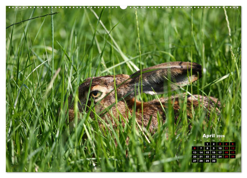 Wildes Bochum (CALVENDO Premium Wandkalender 2026)