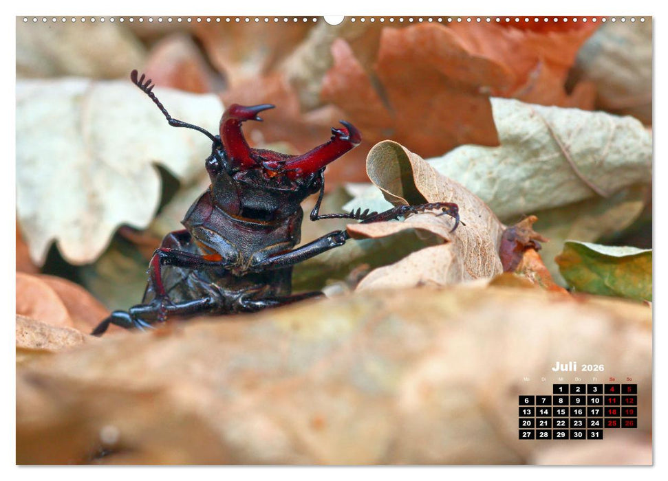 Wildes Bochum (CALVENDO Premium Wandkalender 2026)