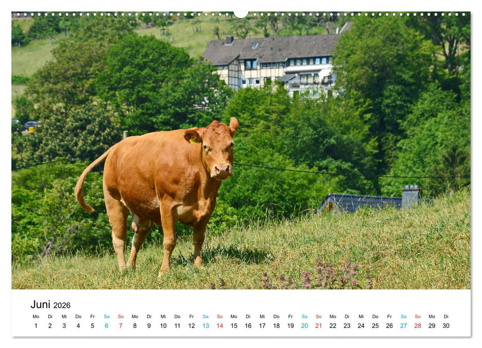 Lebenswertes Dedenborn (CALVENDO Wandkalender 2026)