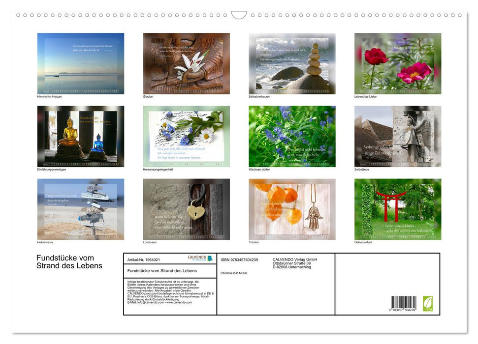 Fundstücke vom Strand des Lebens (CALVENDO Wandkalender 2026)