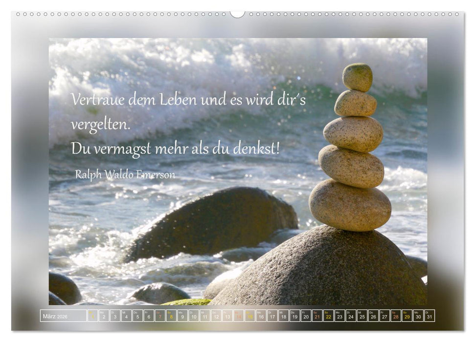 Fundstücke vom Strand des Lebens (CALVENDO Wandkalender 2026)