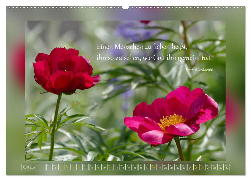 Fundstücke vom Strand des Lebens (CALVENDO Wandkalender 2026)