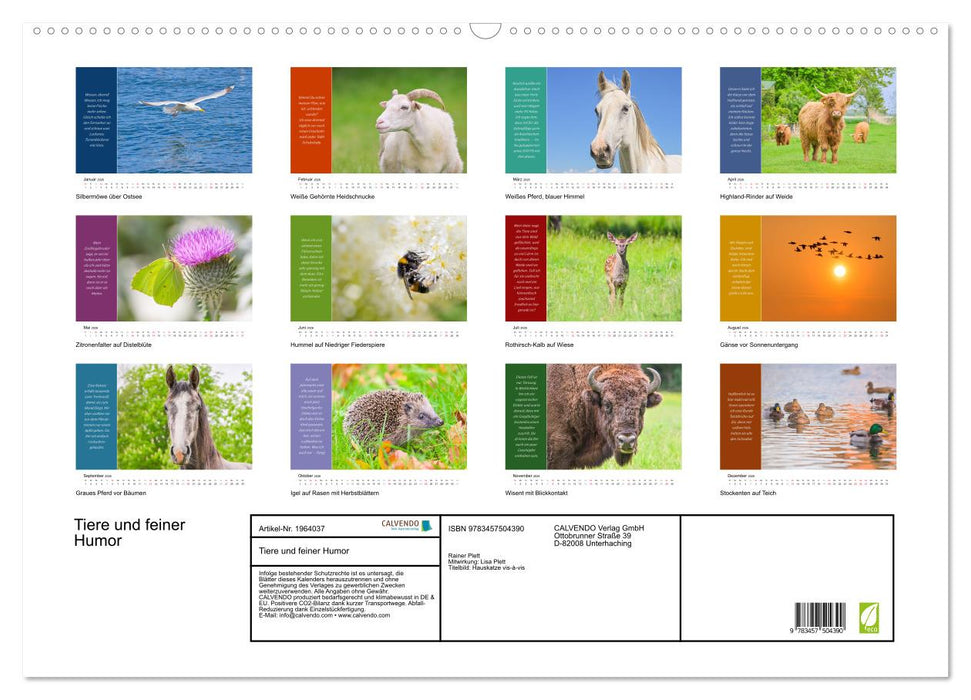 Tiere und feiner Humor (CALVENDO Wandkalender 2026)