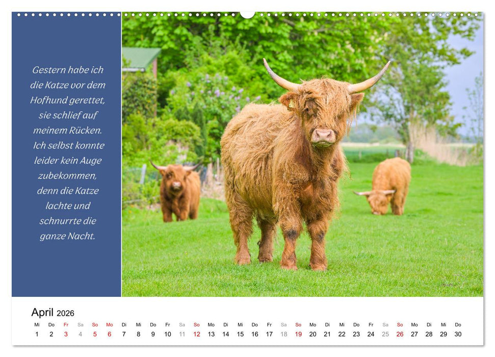 Tiere und feiner Humor (CALVENDO Wandkalender 2026)